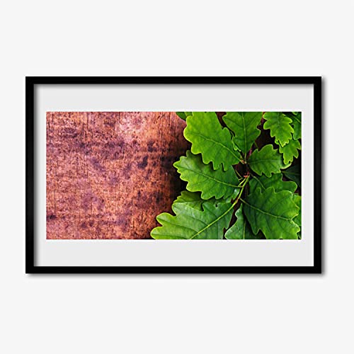 Feuilles de chêne arbre affiche encadrée pour habiller un mur de chambre vide