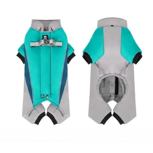 uNexPonvh̃xXg WPbg~g^̏㒅uhbO S[f go[ uh[^ (^[RCY,L)