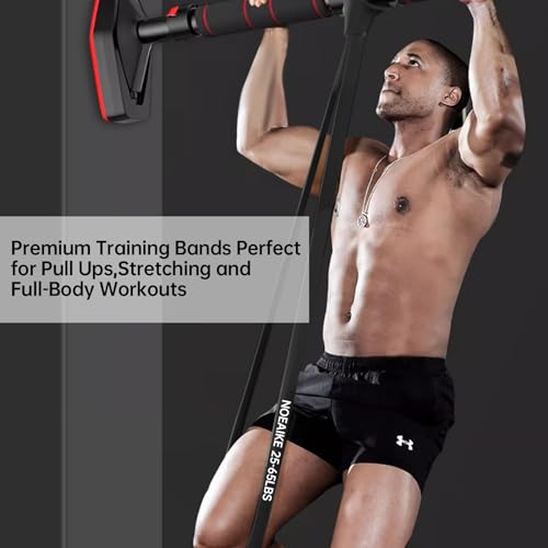 NOEAIKE Resistance Bands,Long Exercise Bands for Men & Women Home Gym - Premium Training Bands Perfect for Pull Ups, Stretching and Full-Body Workouts