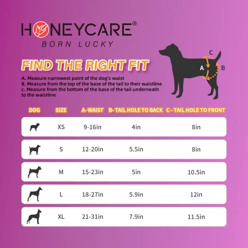 All-Absorb Disposable Dog Diapers, X-Small #TOP4