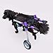 PJDDP Dog Wheelchair, Two Wheels, Adjustable Dog Wheelchair, Handicap Dog Weak Hind Legs Rehabilitation Training for Small Dogs, Cat/Dog/Puppy,S