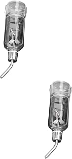 FRCOLOR Garrafa De Água De Vidro Para Animais De Estimação 2 Peças Jarras De Vidro Jarro De Água De Aço Inoxidável Chaleira De Vidro Bebedouro De Coelho Chaleira De Aço Inoxidável