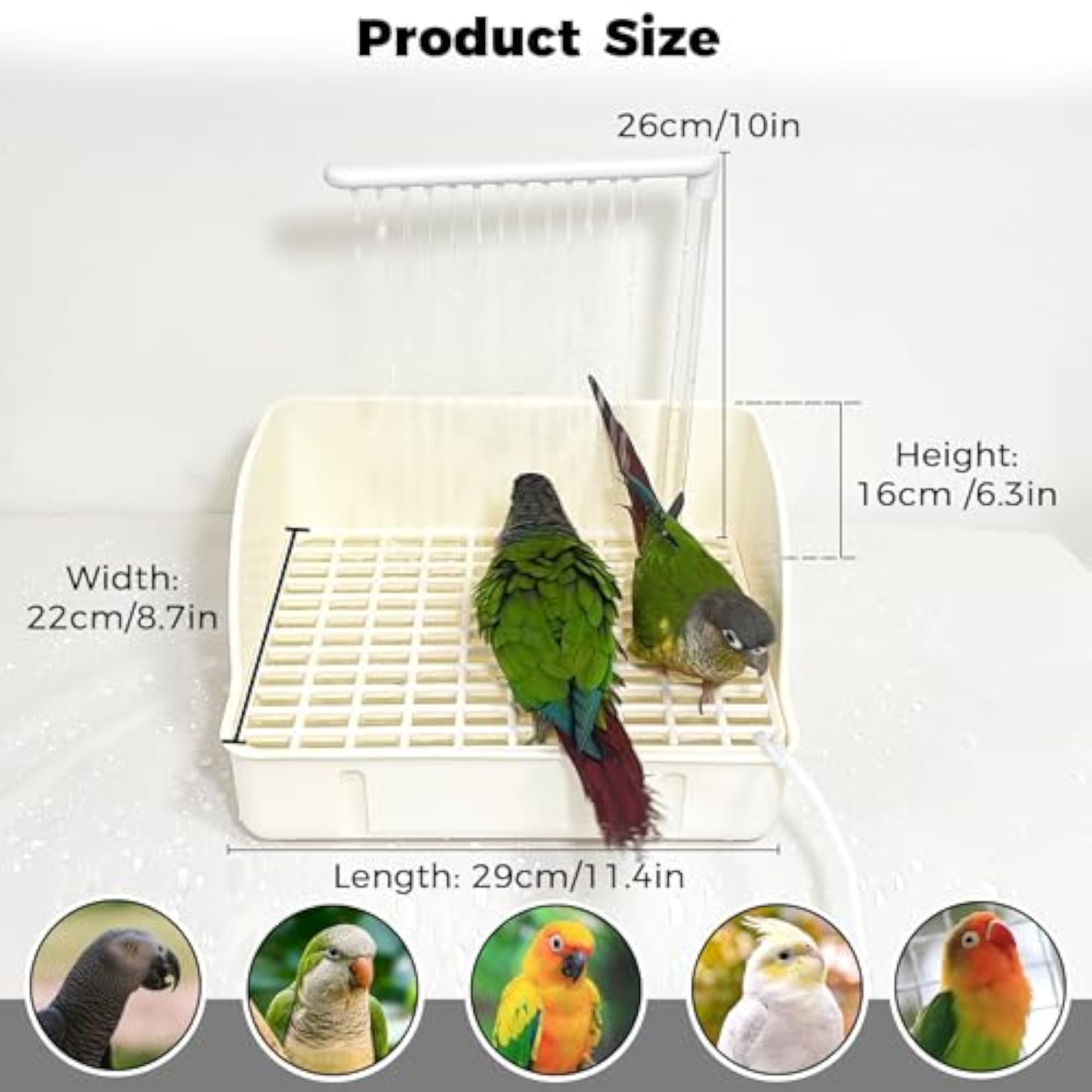 Automatic Parakeet Bird Bath with Pump