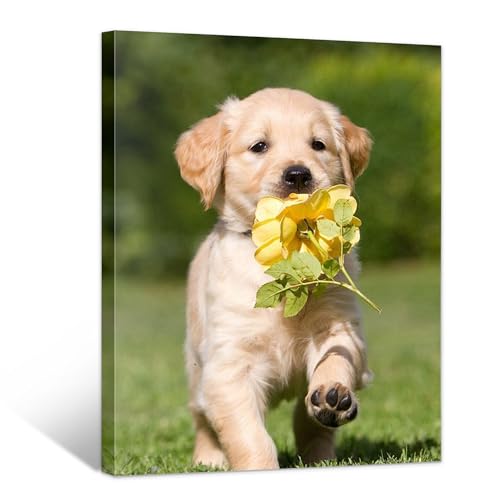 WayToLight Personalized Custom Canvas Prints with Your Photos Framed Wall Art Customized Picture Photo Prints Ideal for Home Decor Christmas Family Gifts (8inx10in)