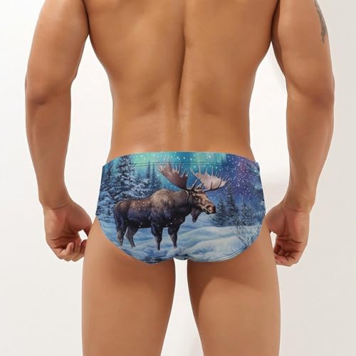 Alaskan Moose with Aurora Borealis Novelty Men's Brief Swimwear Pants Swimming Trunks Beach Shorts Underwear2