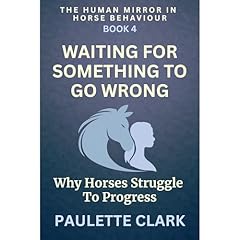 Waiting for Something to Go Wrong Audiolibro Por Paulette Clark arte de portada