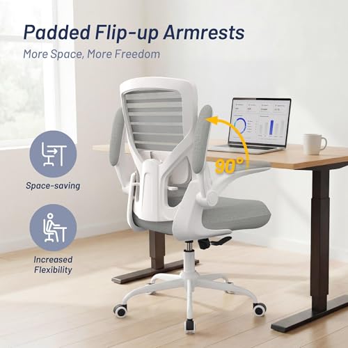 Image of Office Desk Chair for Long Hours & Lower Back Pain Relief - 4 inch Thick Molded Foam Cushion, Enhanced Lumbar Support, Padded Flip-up Armrests, Ideal for Office or Study (Light Gray)