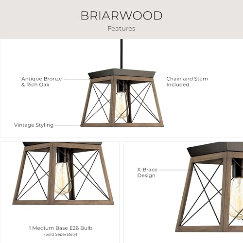Image of Briarwood Collection 1-Light Coastal Mini-Pendant Light Antique Bronze