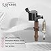 SYKRSS Set of 8 Ignition Coil Pack DG521 and Iridium Spark Plugs SP509 Compatible with Lincoln Navigator LT Expedition Explorer Mustang F150 F250 F350 Super Duty V8 V10 4.6L 5.4L 6.8L