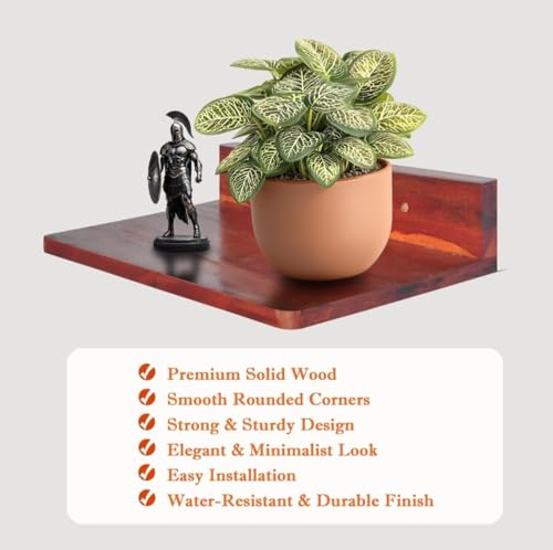 Image of Solid Wood Wall Mount Set-Top Box Stand | Durable Floating Shelf for WiFi Router, Speakers, Gaming Console & Home Decor