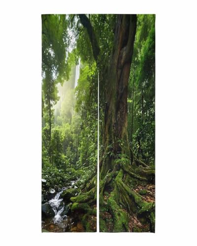 Bexnympi ̂ 100x200cm ˌJ[e  ډB UV gJ[e k d؂ ag h h rO Lb`  o Q  Ԏd؂ i X  炬  ΐF