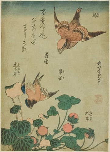 ZHAOSHAN Pinturas Famosas Cartel del Lienzo Abstracto Cuadro Averla dalla testa di animale e uccello azzurro con sassifraga e fragoline di Katsushika Hokusai para Decoración de dormitorio 60x90cm