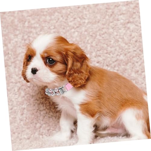 Laisse pour chiots et petits chiens de 3m - Corde de traction légère - 8