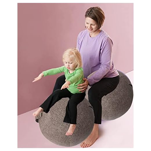 Yoga Ball Chair Cover for Home and Office