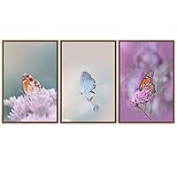 SIGNWIN Framed Canvas Wall Art Dreamy Beautiful White and Orange Butterflies Closeup Nature Wilderness Photography Modern Scenic Relax/Calm for Living Room, Bedroom, Office - 16