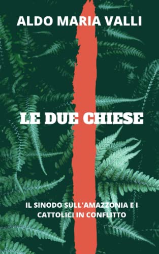 Le due Chiese: Il Sinodo sull'Amazzonia e i Cattolici in conflitto