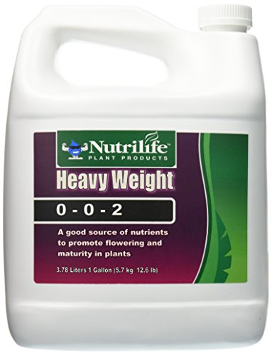 Whitmire NLHW4L Heavy Weight, 4 L, 4 Liter
