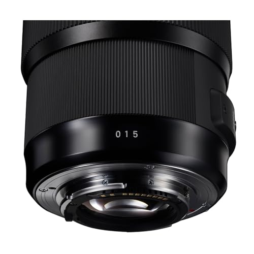 Sigma 24 mm / F 1.4 DG HSM Art - Objetivo para Nikon, color negro