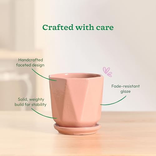 Image of UGAOO Diamond Ceramic Flower Pot for Indoor Plants, 4 Inch - Light Pink
