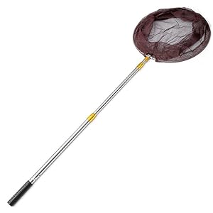 Draagbare visnet roestvrijstalen telescopische poolvissen landing netto dip netto gieten netwerk val net (Color : 2.2m)