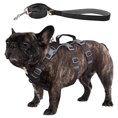 Wuffley Escape Proof Dog Harness and Leash Set, Lightweight Dog
