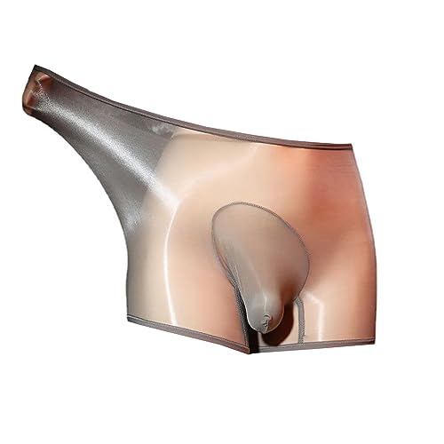 LESOYA Men's Sexy Nylon Sheer Panties High Elastic Low Rise Boxer Briefs See Through Sheer Boyshorts Trunks Underwear