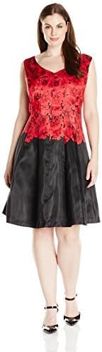 Julian Taylor Women's Plus Size Floral Printed Fit and Flare Dress