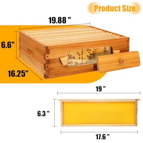 Honey Lake Bee Hive with Windows, 10 Frame Langstroth Complete Beehive Starter Kit Dipped in Beeswax with Beehive Frames and Waxed Foundations (2 Deep Brood Bee Hive Box & 1 Medium Super Bee Box) - Image 5