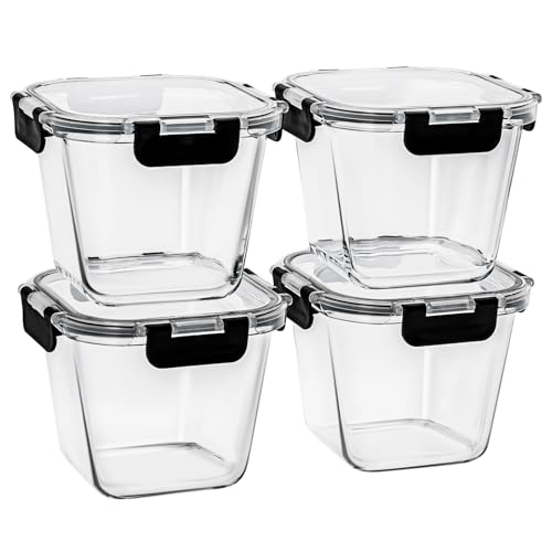 Hoenjuno 32oz Glass Soup Containers
