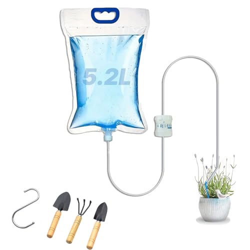 Pochitto Mise @ A 5.2L  蓖  ʒ߉\ _H e o s | Aؔ ϗtA K[fjO A ~ (1̐o)