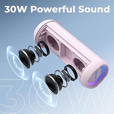 RIENOK Portable Bluetooth Speaker 30W Plus 100W Voice Amplifier with 2 Wireless Microphones