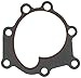Water Pump Gasket