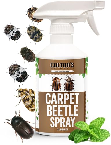 Carpet Beetle Spray – Carpet Beetle Killer for Eggs, Larvae & Adults –...