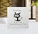 Funny Office Desk Decor - Black Cat 'It's Fine' Wood Box Sign, Home Office Wall/Tabletop Shelf Decor (5x5 Inch), Coworker Gift