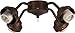 Craftmade F400-ABZ-LED Ceiling Fan Fitter, 4-Light 34 Total Watts, Aged Bronze Brushed
