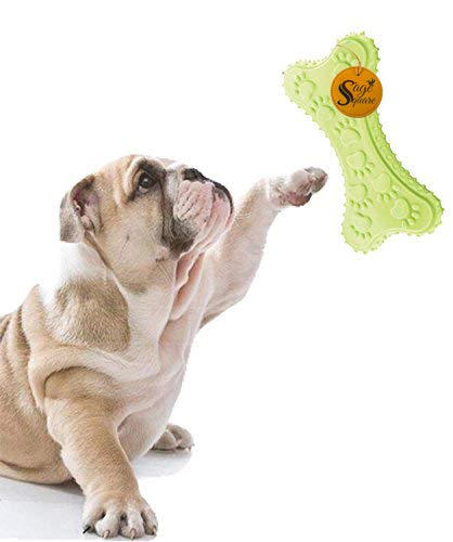 Sage Square Natural Rubber Squeaky Toy Cum Chew Bone Shape Toy for Dog/Puppy/Cat/Kitten (Green) (B079VMTM28) Amazon Price History, Amazon Price Tracker