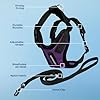 Voyager Escape-Proof Step-in Lock Cat Harness & 5ft Neoprene-Handle Leash Set All-Weather Mesh with Reflective Stitching for Small to Large Cats by Best Pet Supplies, Purple/Black Trim, XS #2
