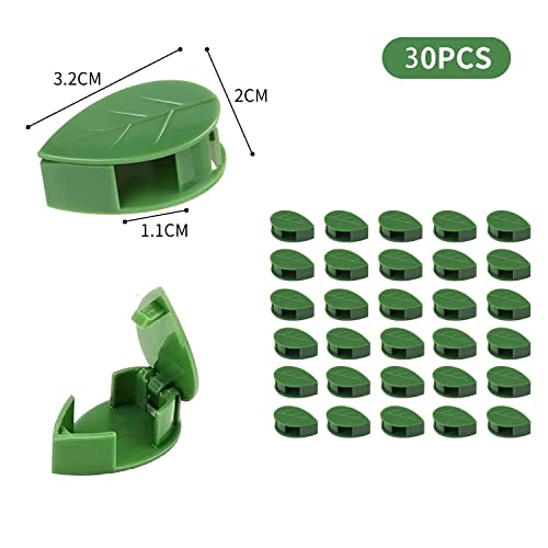 Luvadeyo Set van 30 plantenclips voor klimmende plantenclips, zelfhechtende wandmontageclip, plantenhouder, klimhulp… - Image 3