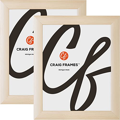 Craig Frames Contemporary, 14x18 Picture Frame, Natural, Set of 2
