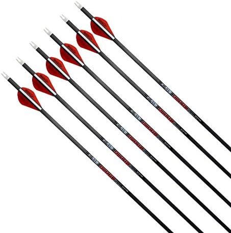 REEGOX Hunting Arrows for Compound Bows-100% Carbon Arrows for Recurve Bow Targeting Practice Archery Arrows with Removable Tips(Pack of 6)
