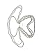 New Fashion Long 6 Row White Faux Pearls Necklace 35"