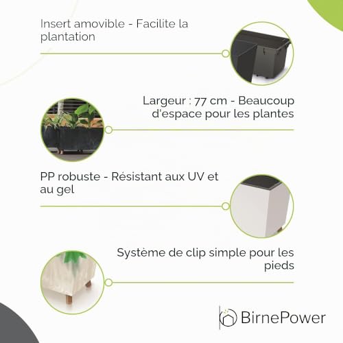 BirnePower Jardinière sur Pieds Urbi Case N avec Insert Amovible, Pot de Fleurs Rectangulaire 77cm pour Intérieur et Extérieur, Résistant au Gel et UV, Gris Béton – vue 3