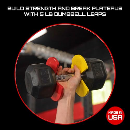 Image of Micro Gainz 2.5LB Dumbbell Fractional Weight Plates, 2-Piece