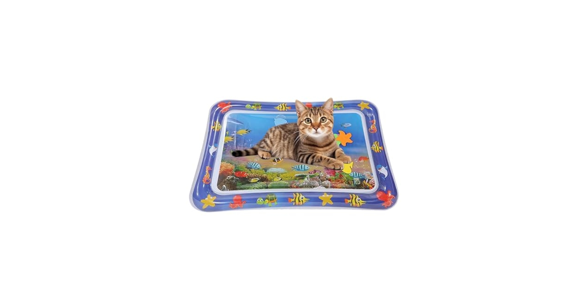 Amazon.co.jp: 猫用水遊びマット、感覚水遊びマット - ペットの