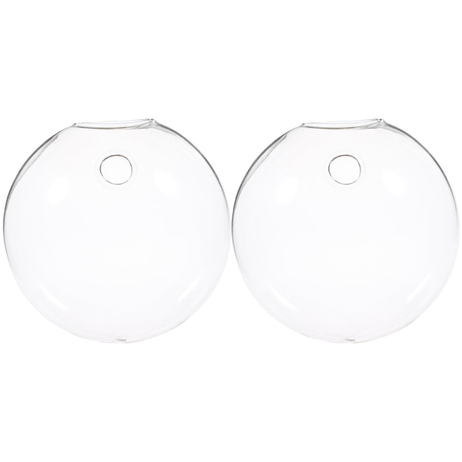 Macetas hidropónicas de cristal para pared decoración botánica en salones y oficinas de interior