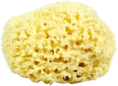 Neptune Sea Wool Sponge, Large, Approx. 6-7 in, Hand Cut Exfoliating image 5
