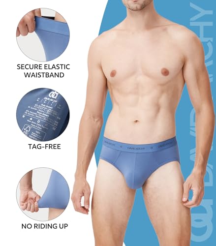 Image of DAVID ARCHY Men's 4 Pack Micro Modal Separate Pouch Briefs with Fly