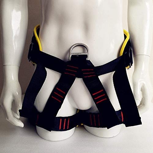 Buy LIANGB Climbing Harness Fall Protection Equipment Safety Rock