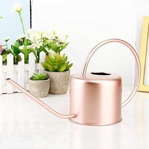Arrosoir En Acier Inoxydable 300ml - Long Bec Pour Plantes D'intérieur, Bureau, Jardin - Design élégant Et Durable