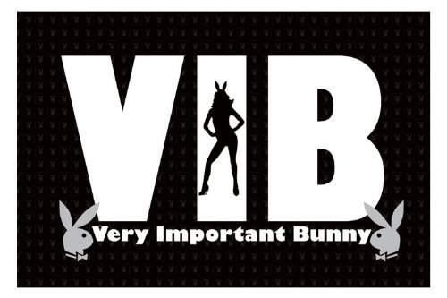 Poster Playboy Vib 61X91,5 Cm Affiche Murale Décorative Grand Format